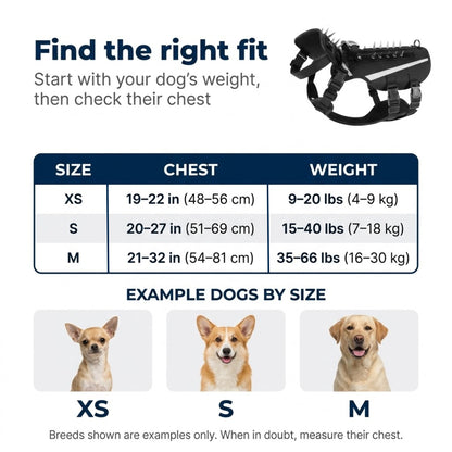 Barkly™ Protective Spike Vest